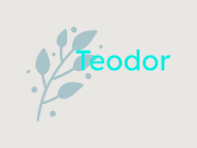 Teodor Dev Tech logo